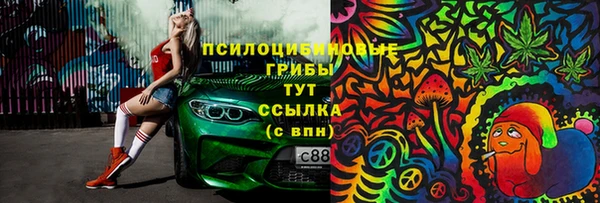ешки Верхний Тагил