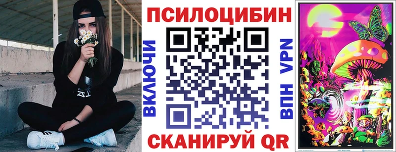 купить закладку  Славянск-на-Кубани  mega зеркало  Псилоцибиновые грибы прущие грибы 